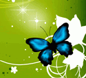 ھٰ2016רҵԱ֪ʶ½֪ͨ11ڣ